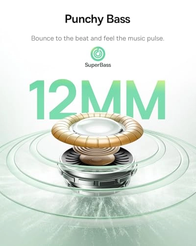 Bass BP1 NC Wireless Earbud