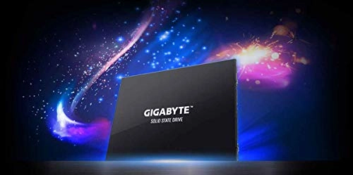 GP-GSTFS31100TNTD - 1 TB 2.5-inch