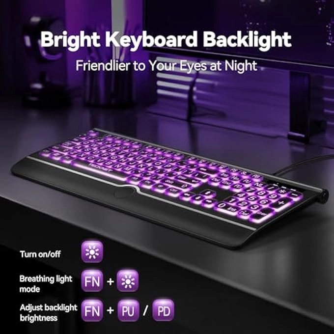 LARGE PRINT BACKLIT KEYBOARD