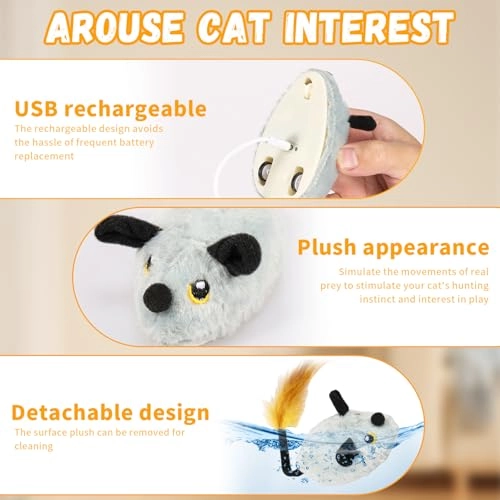 Magic Mouse Cat