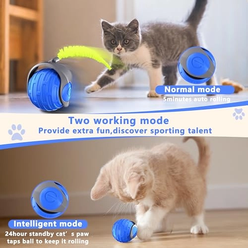 Cat Toy Ball - All Life Stages