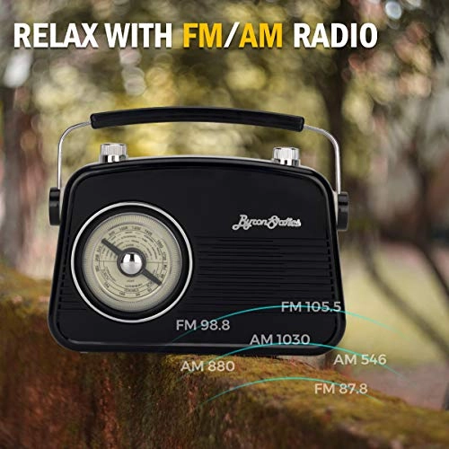 Portable Radio - AM FM