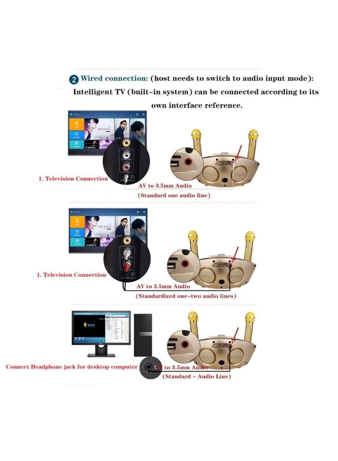 SD-306 - two wireless microphones