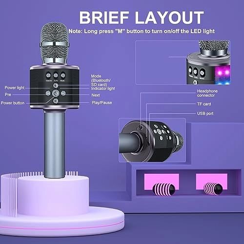 G20 - Karaoke Microphone Bluetooth Wireless