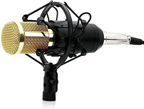 BM-800 USB+XLR Microphone