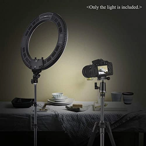 Ring Light - 19 Inch