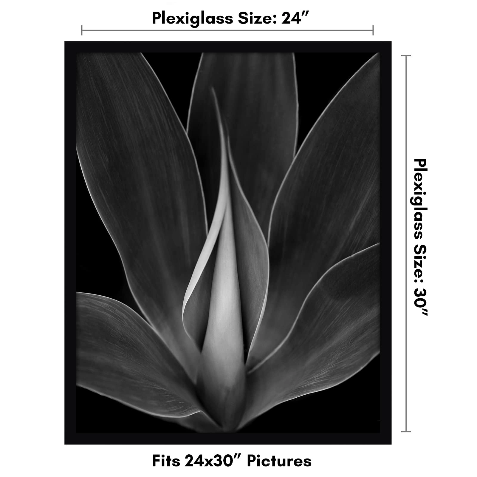 WB2430BLK - 24X30