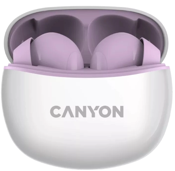 TWS5 Wireless Earbud