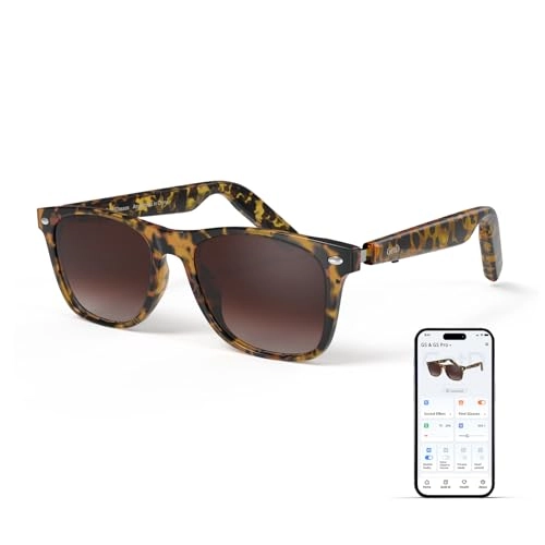 GG13 - Bluetooth AI Translator 11H Battery