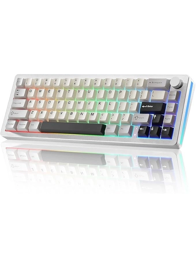 AL66 - 65% Wired/Wireless