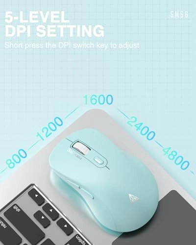 SM66 Silent Dual-Mode Mouse - Wireless