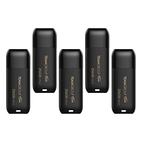 C175 - USB 3.2 Gen 1 USB Type A 256GB