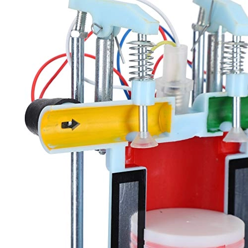 Gasoline Engine Model