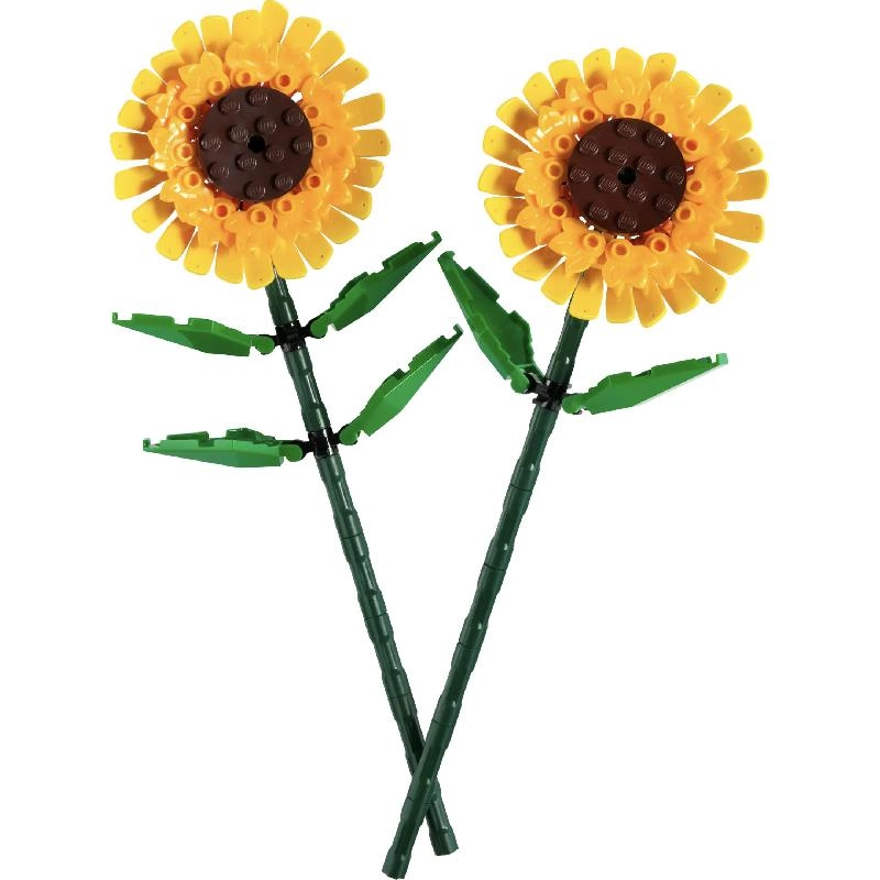 Sunflowers (40524)
