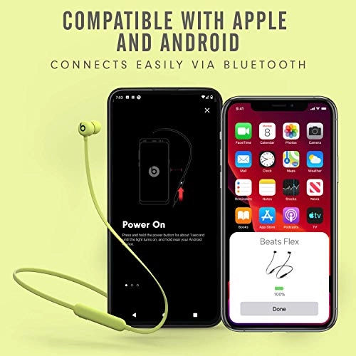 Flex Wireless Earphones
