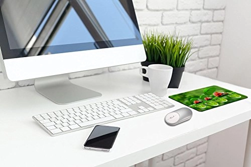 Silent Click Optical Mouse - Wireless