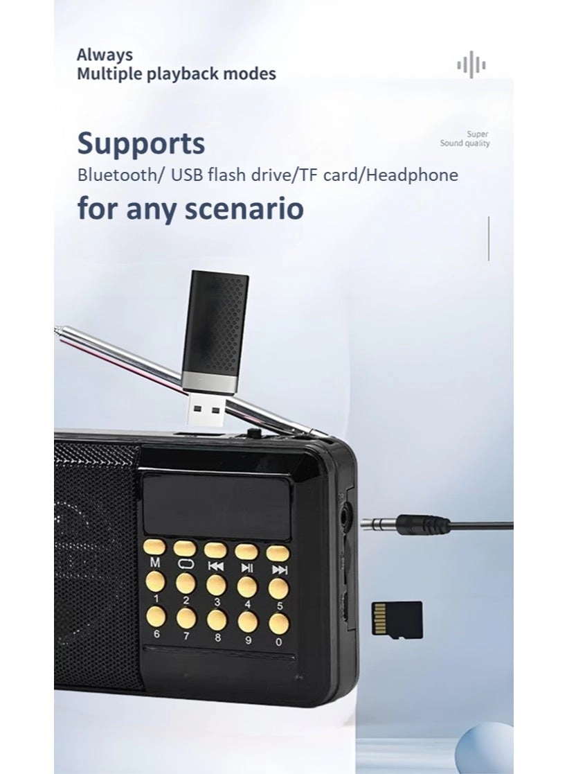 Multiband Radio - Portable