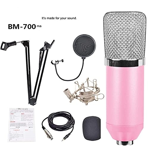 8559899 USB Microphone Set