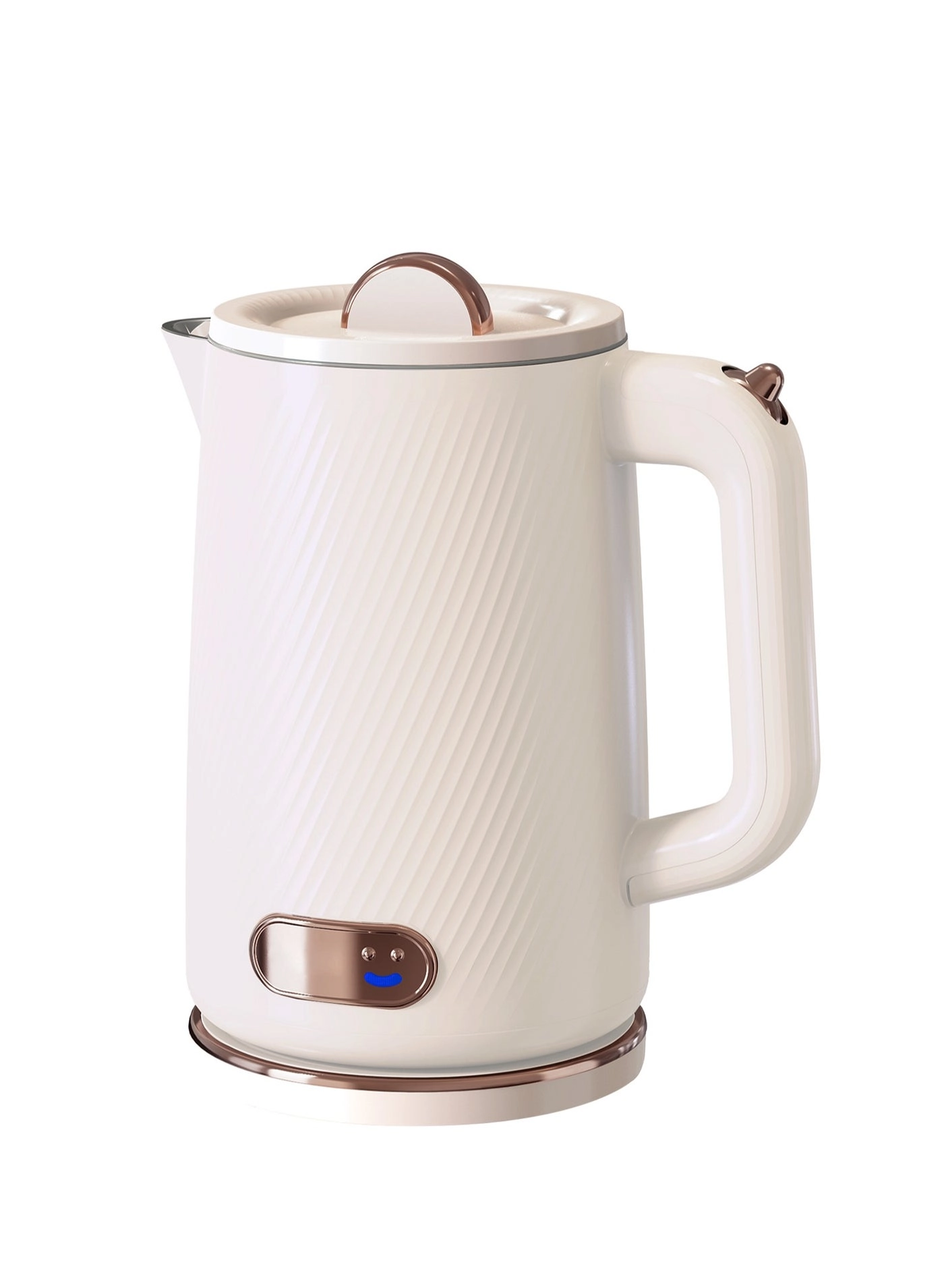 Stainless Steel Electric Kettle
