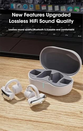 GD-001 Wired Headphone