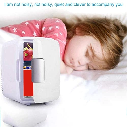 Mini Fridge Cooler And Warmer