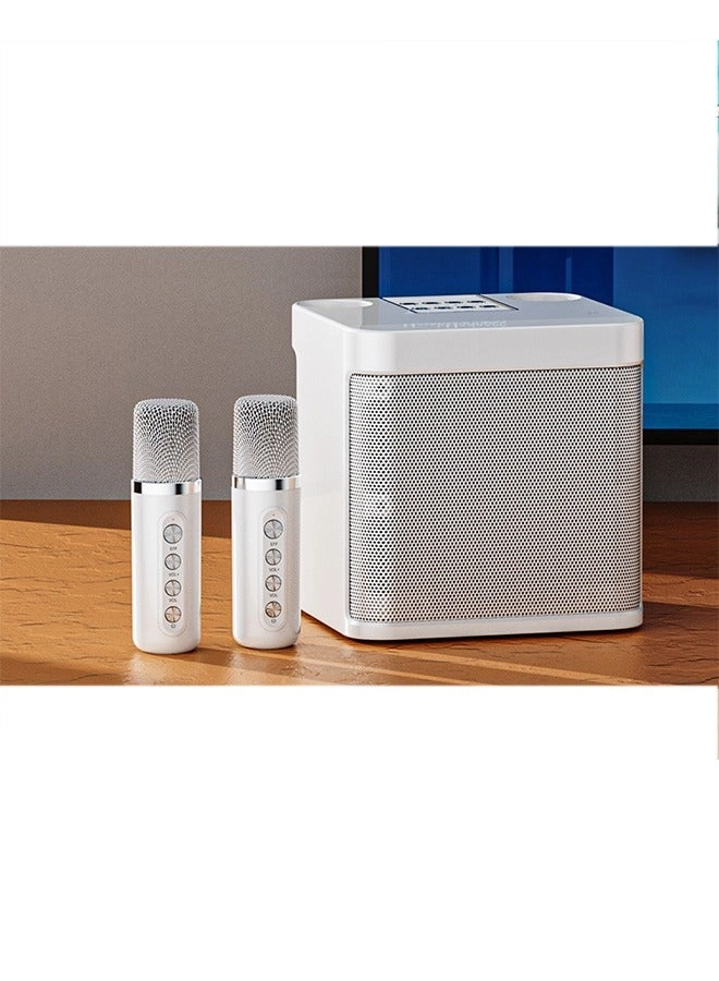 K12 Speaker - two microphone