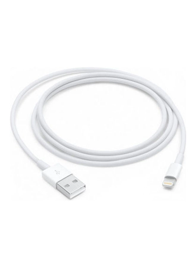 Apple Lightning To USB Cable Lightning to USB 1m