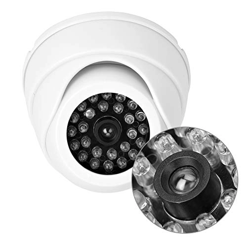 Fake Dome Camera - indoors and outdoors