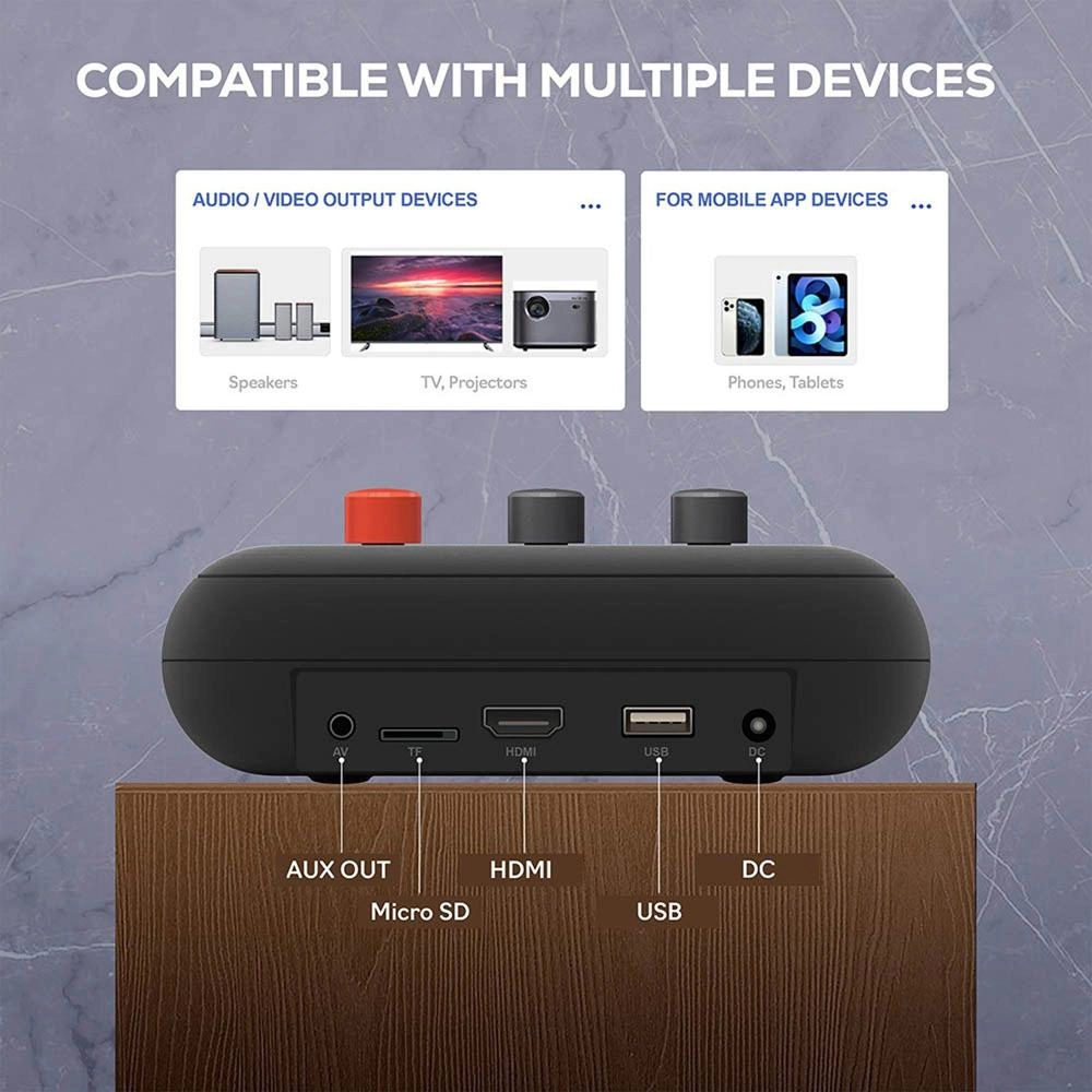 D’MAESTRO A-15 - 2 mics 1TB