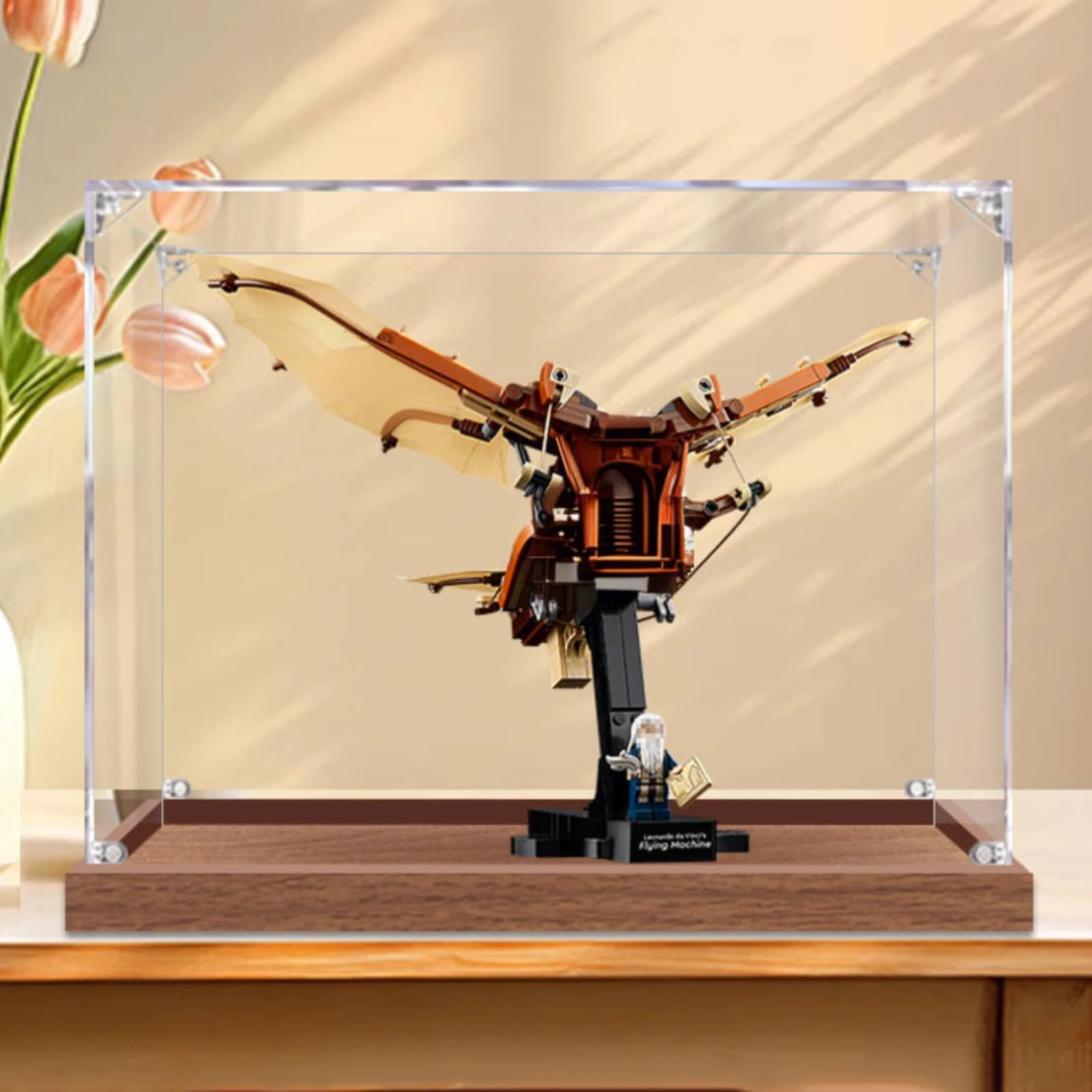 Shengor Figures Display Box