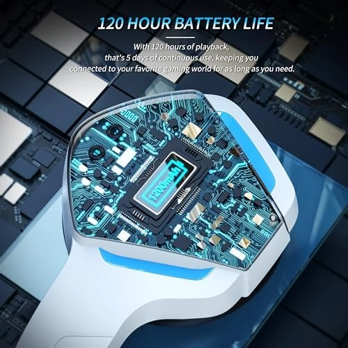 BW01-BT Wireless Headset