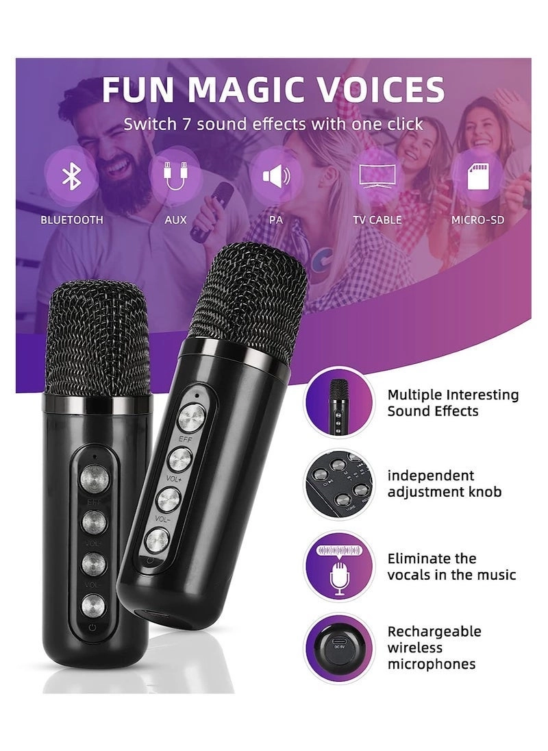 YS 224 - Dual Wireless Microphones