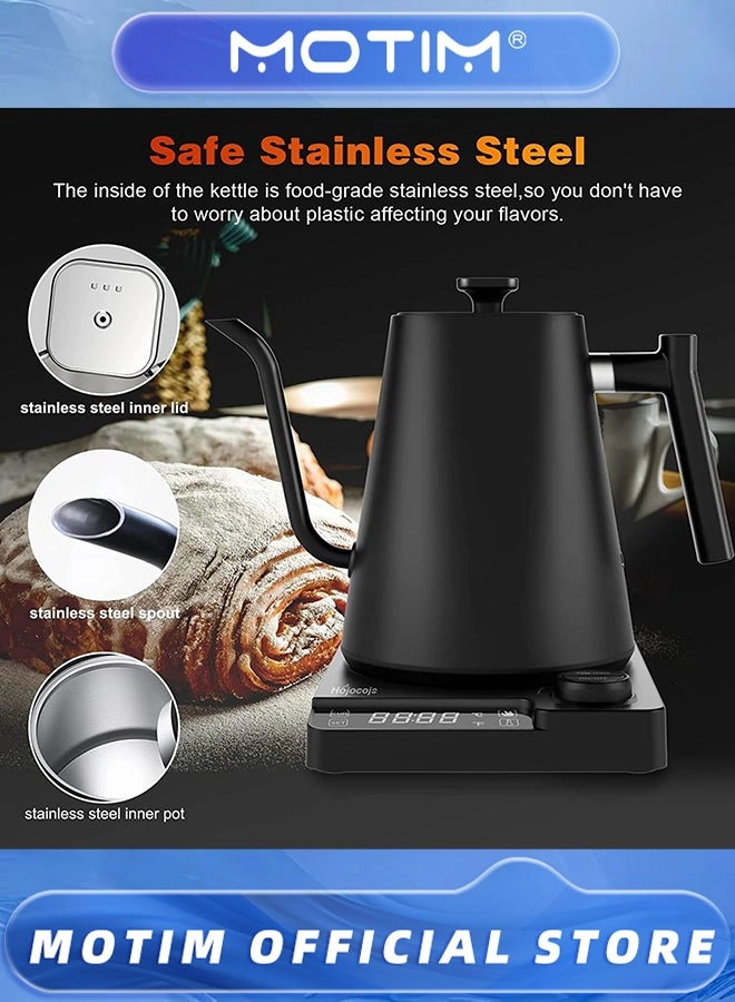 Temperature Control Electric Kettle