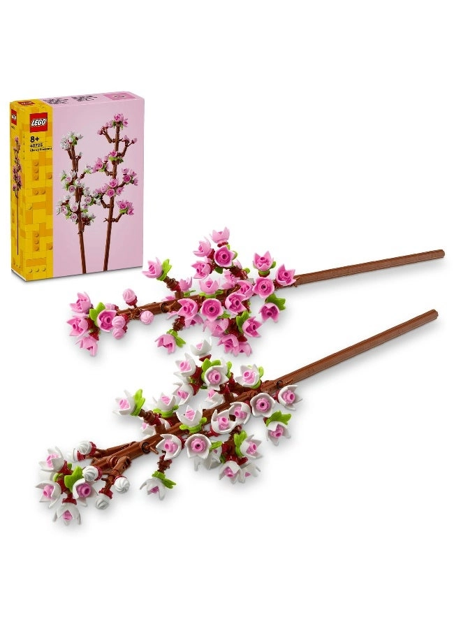 Cherry Blossoms Celebration Gift (40725) - Flowers