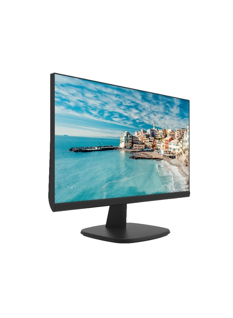 DS-D5024FN-B - 24 inch 1920 x 1080 pixels
