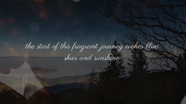 Walaa Eau de Parfum 50ml