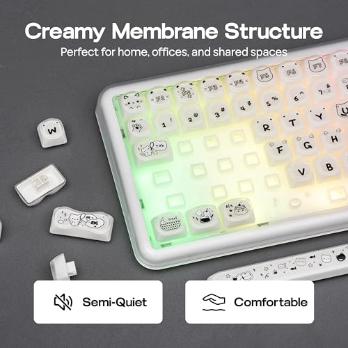 X100 PRO - US Wired/Wireless