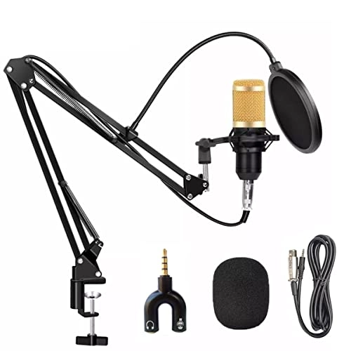 BM800 3.5mm-Mini-Jack Microphone