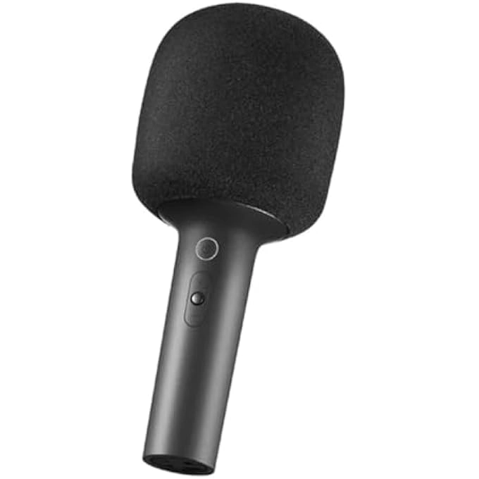 KARAOKE MICROPHONE Wireless Microphone
