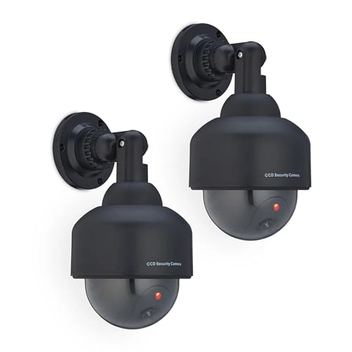 Camera Dummy - Indoor and Outdoor