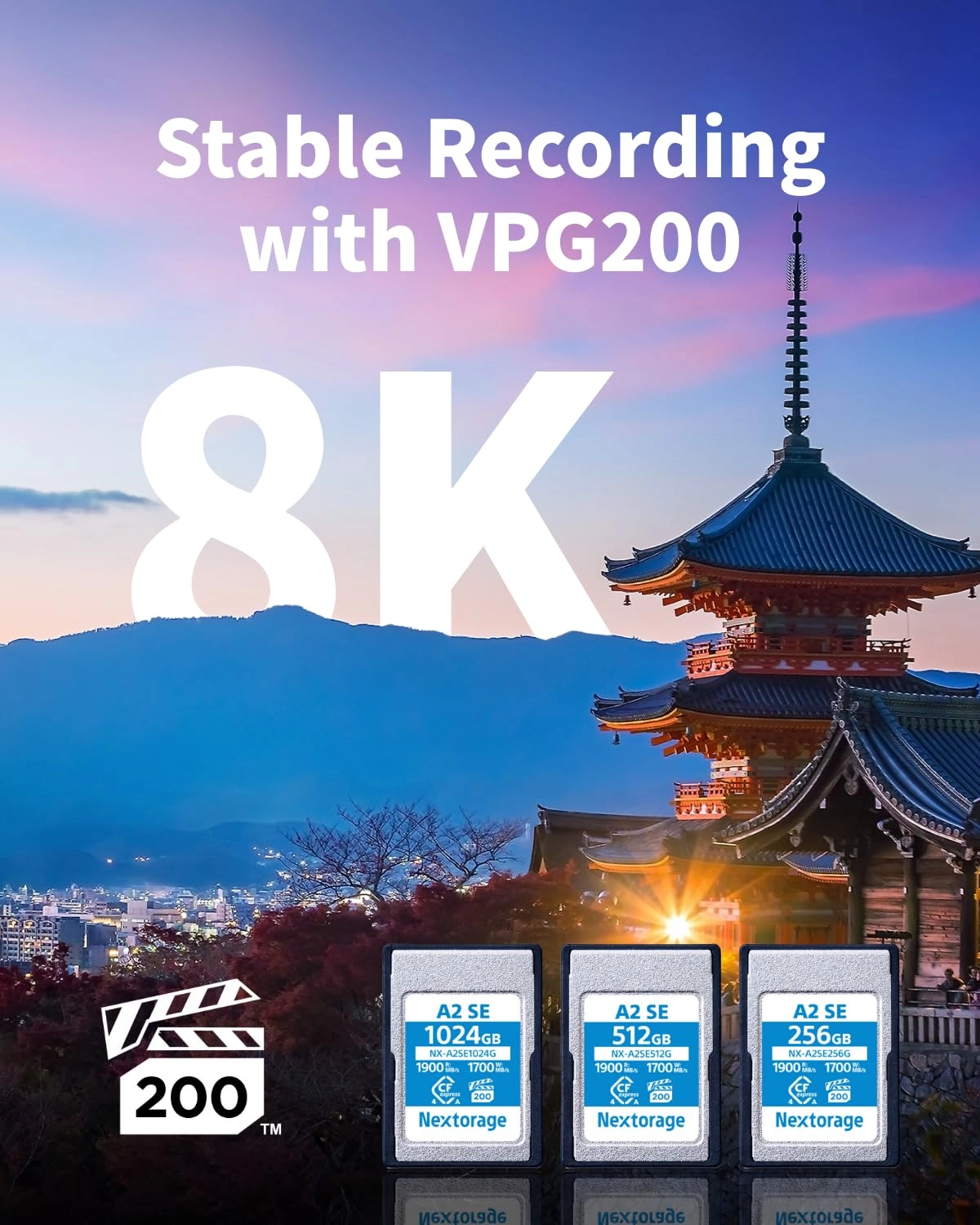 Cfexpress 4.0 Type A - 256GB