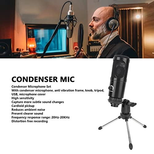 c4gspifouy USB Microphone Bundle