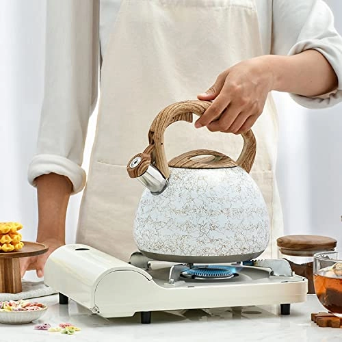 Stovetop Induction Whistling Kettle - 5L