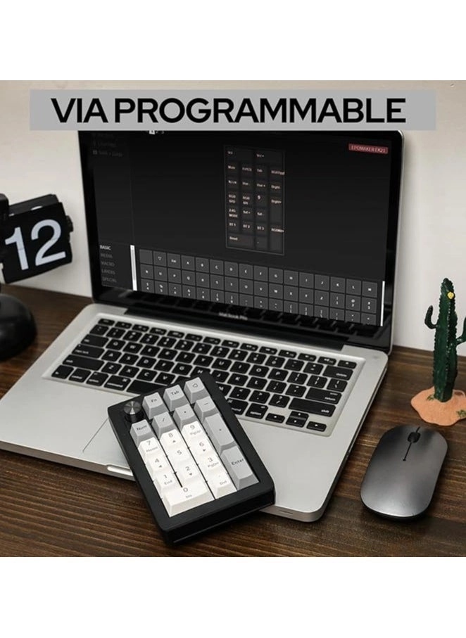 EK21 - Wisteria Linear Switch