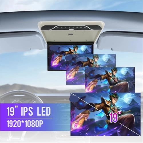 Roofmount LCD Monitor - 19in