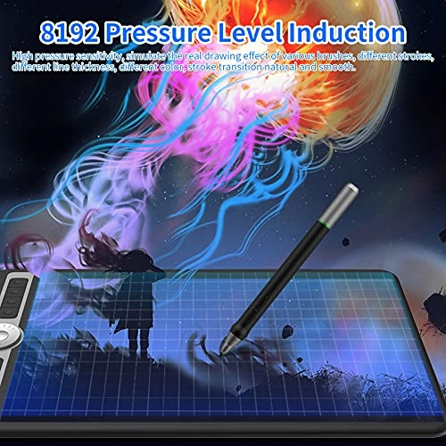 Graphics Drawing Tablet - 10x6 Inch 8192 Levels