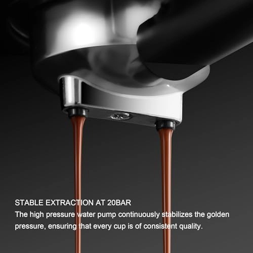 CM3020 - 51mm Portafilter Milk Frother