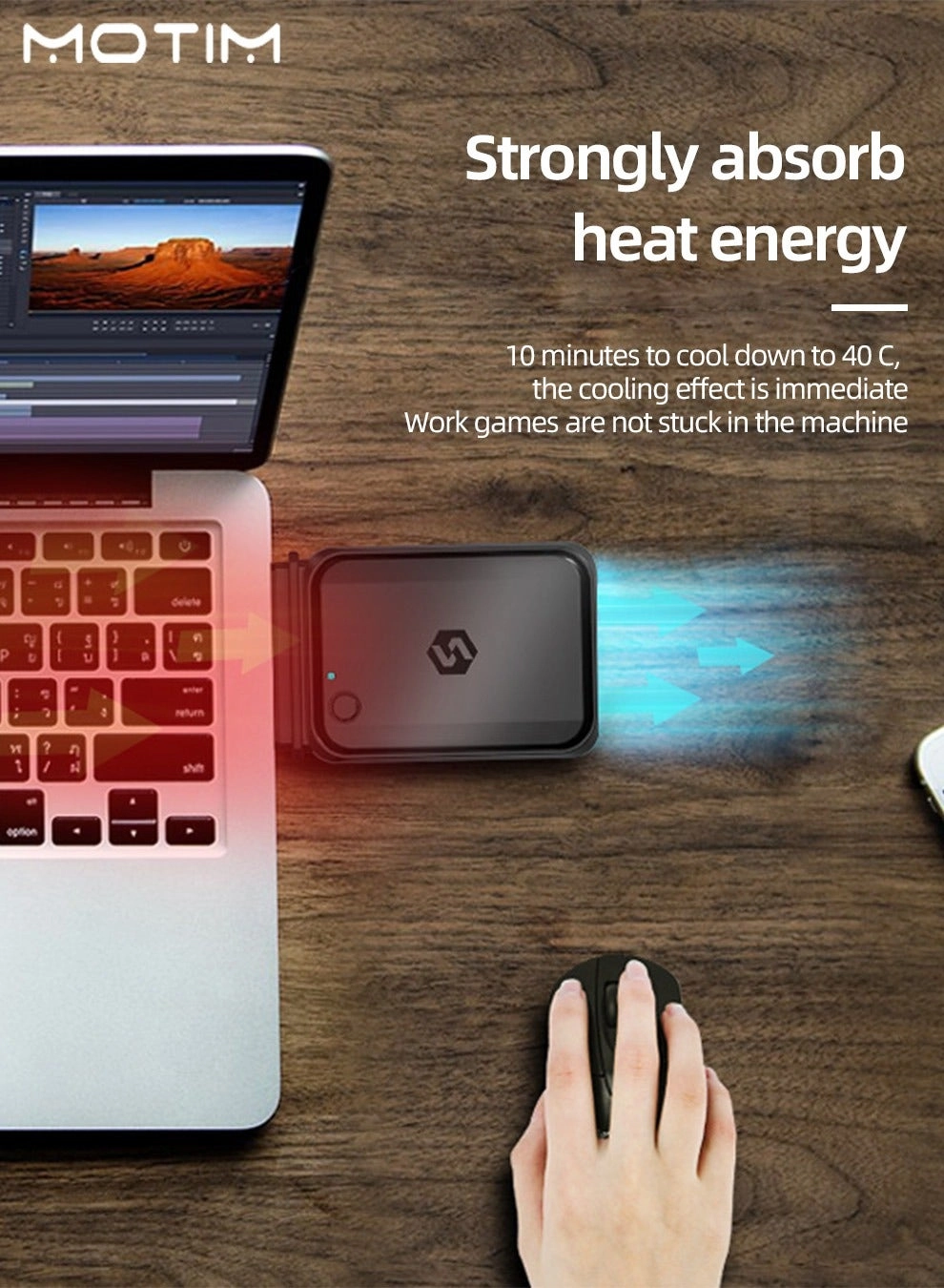 Laptop Cooler - 10 inch to 17 inch