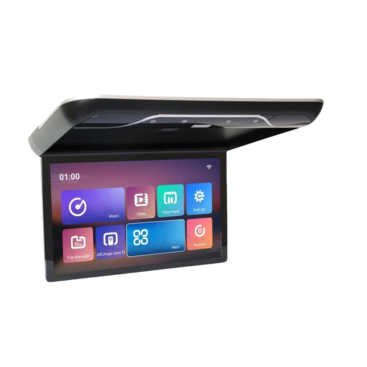 Roofmount LCD Monitor - 19in