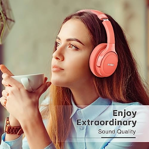 WH202A Wireless Headphone